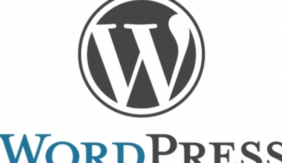 WordPressで制作したサイトが行政機関で採用されました